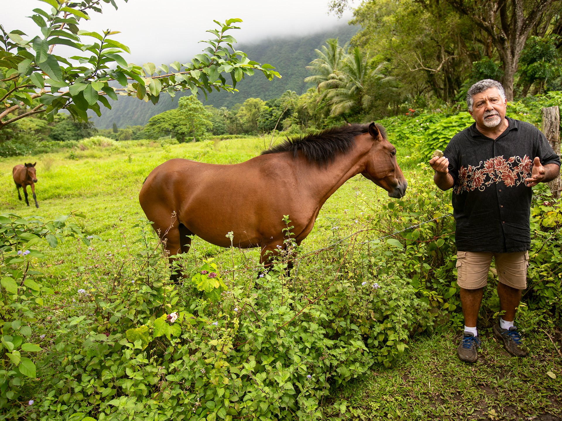 a man standing next to a horse in a field