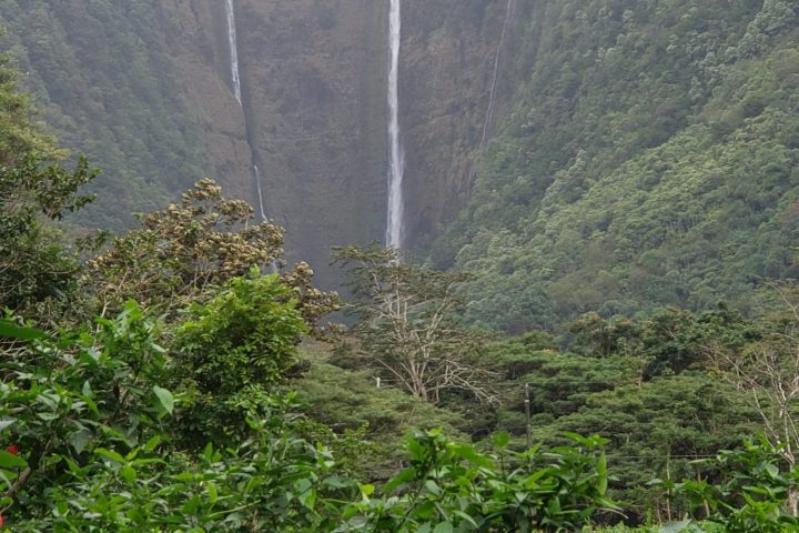 Looking down the Waipio Valley waterfall