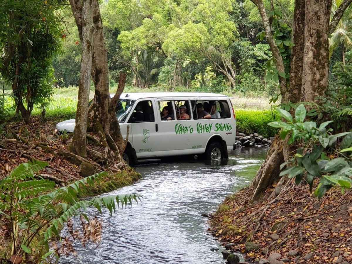 a bus parked in a forest