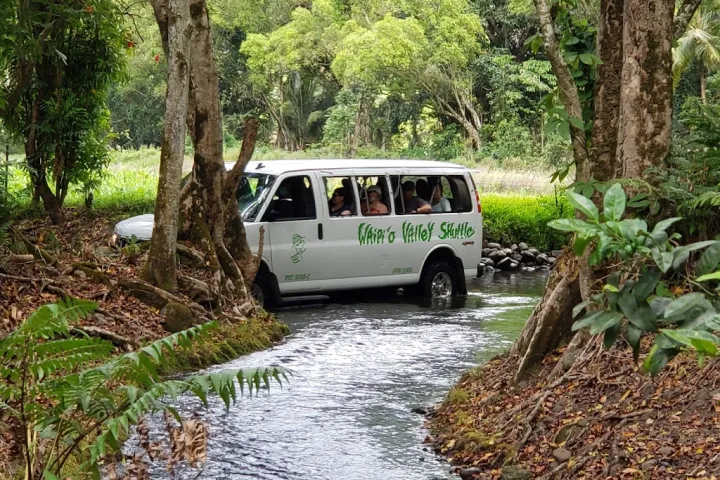 a bus parked in a forest