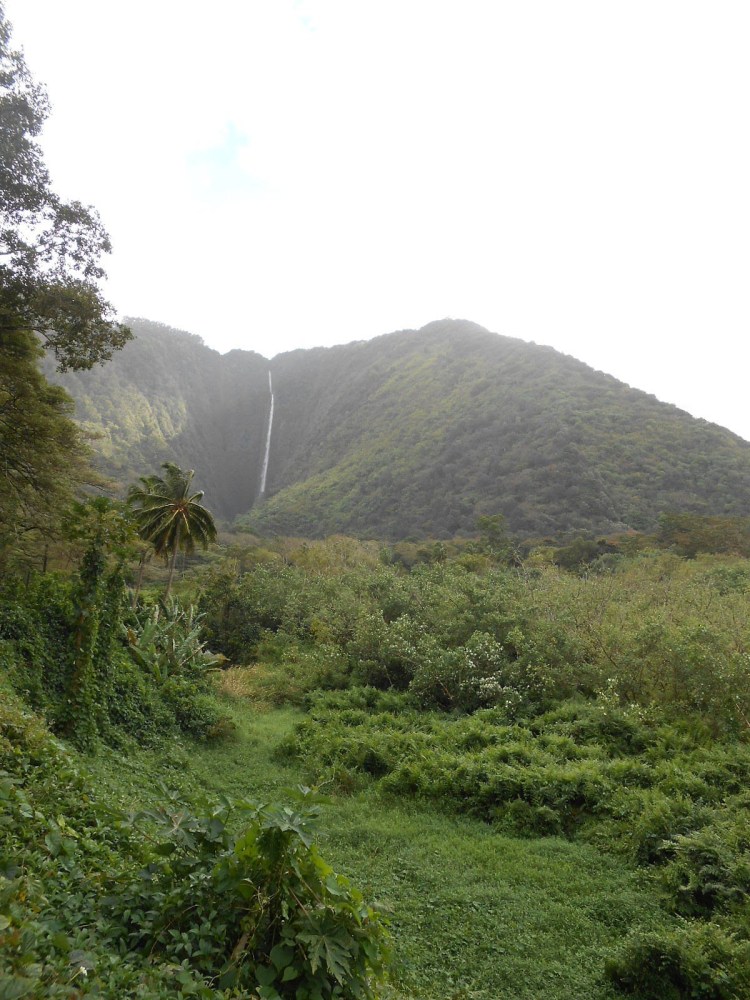 Tall waterfall cascading down a green mountain under a cloudy sky, surrounded by lush vegetation.